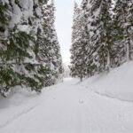 The Impact of Weather Conditions on Car Wash Business Operations: Allpanel 777, Laserbook247.online, 99exch.in