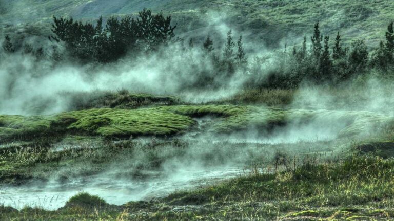 Is The 11Xplay Login Id And Password India App For Android Available On Play Store?